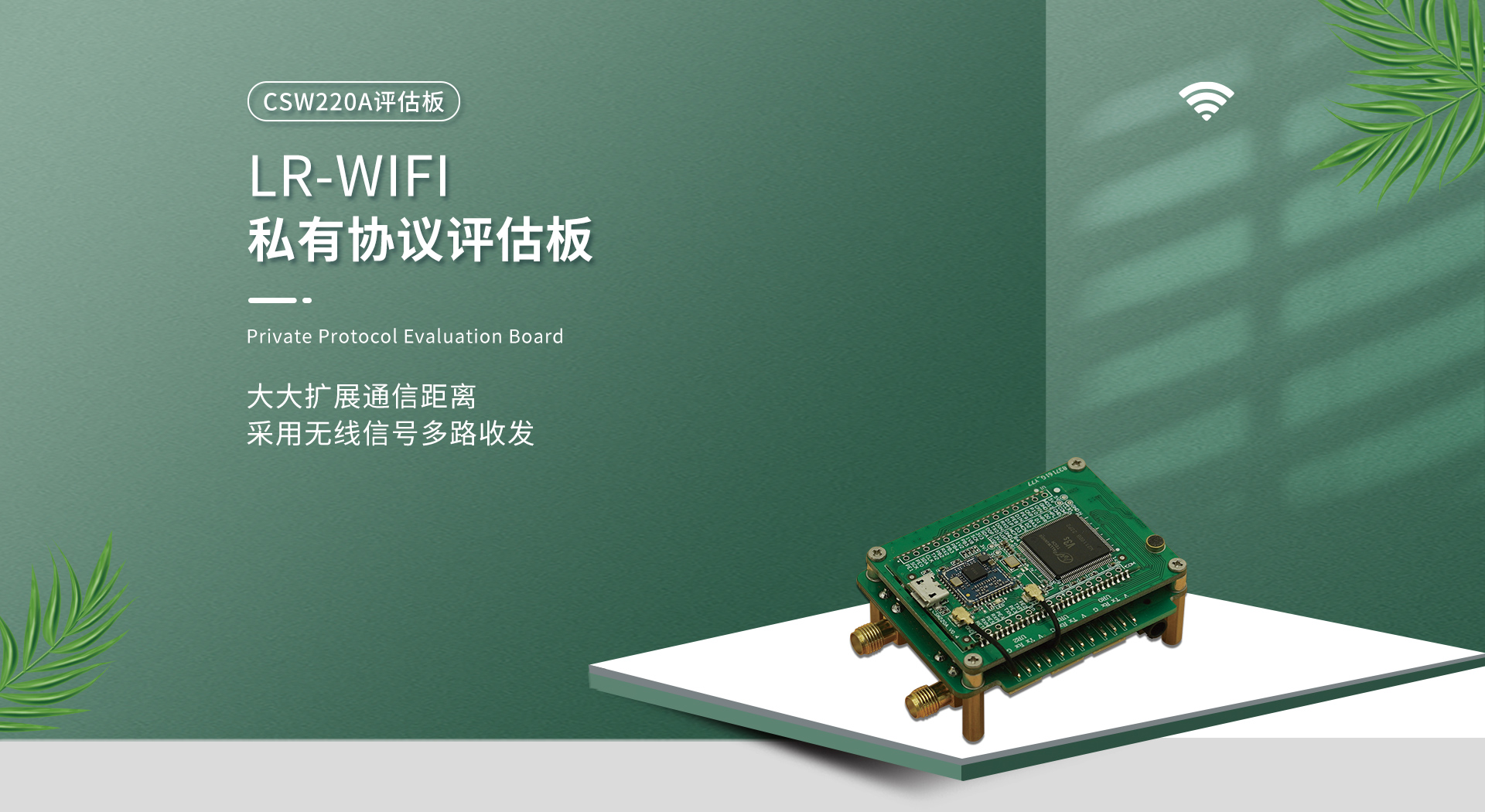 CSW220A評(píng)估板_01.jpg