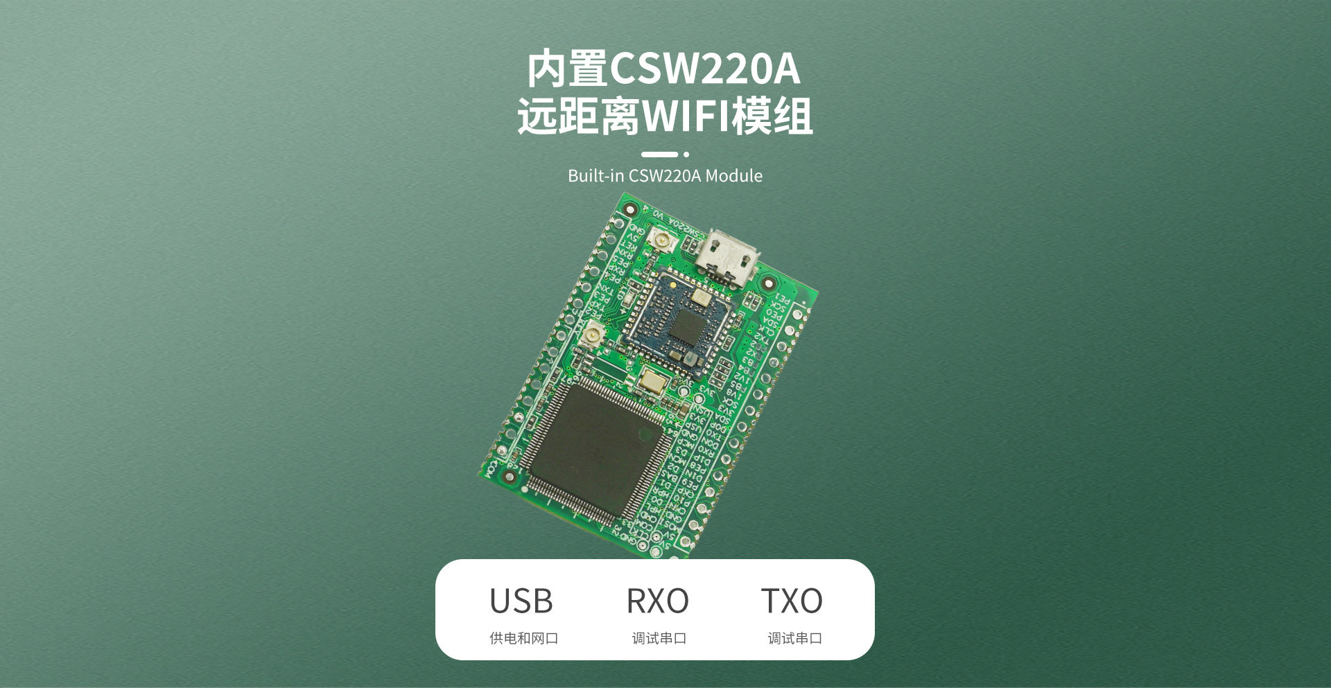 CSW220A評(píng)估板_03.jpg